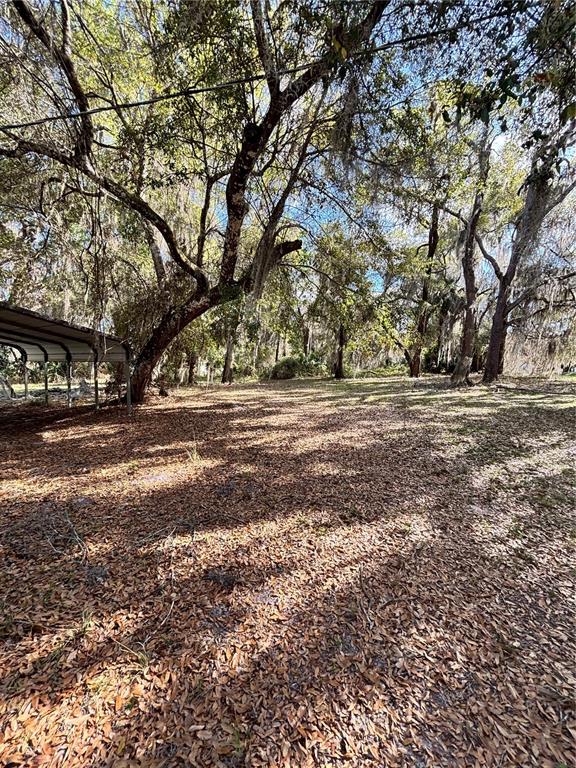 14179 Northeast 53rd Court Road Citra, FL 32113 - Photo 6 of 8 a view of road with large trees