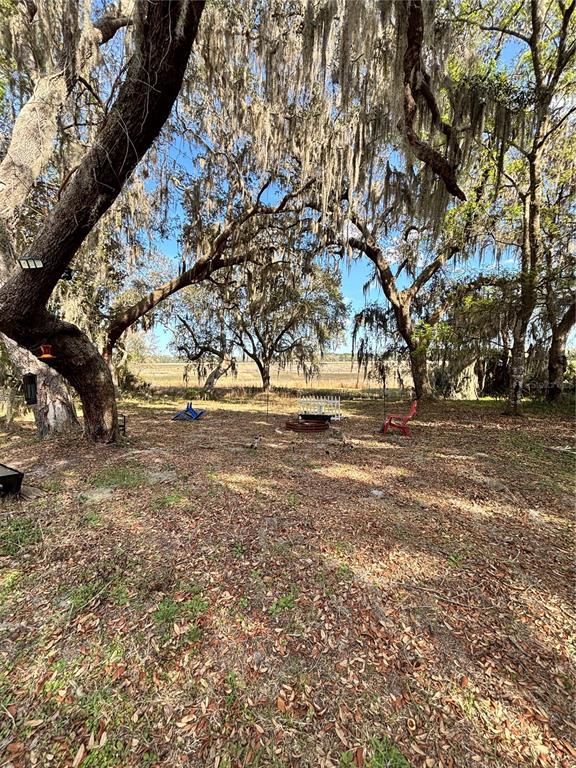 14179 Northeast 53rd Court Road Citra, FL 32113 - Photo 8 of 8 a view of road with yard