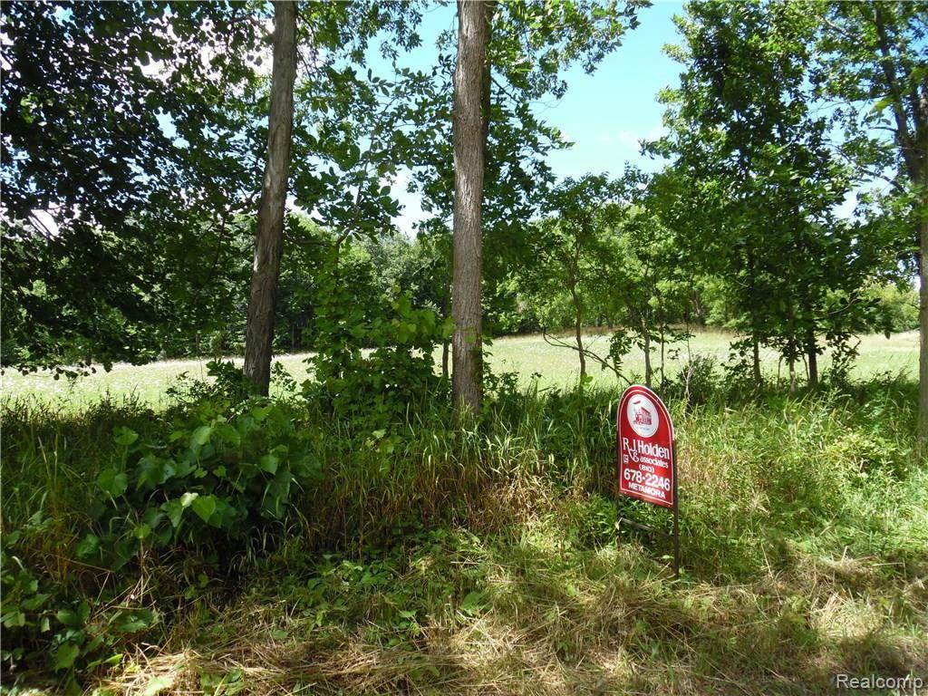 Par B Thomas Road Metamora, MI 48455 - Photo 1 of 3