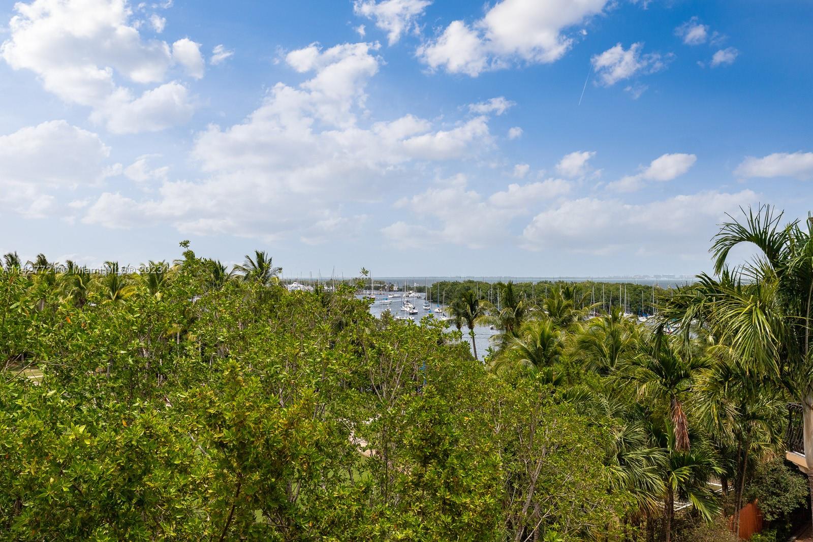 3471 Main Highway, Unit 928 Miami, FL 33133 - Photo 35 of 40 a view of a bunch of trees