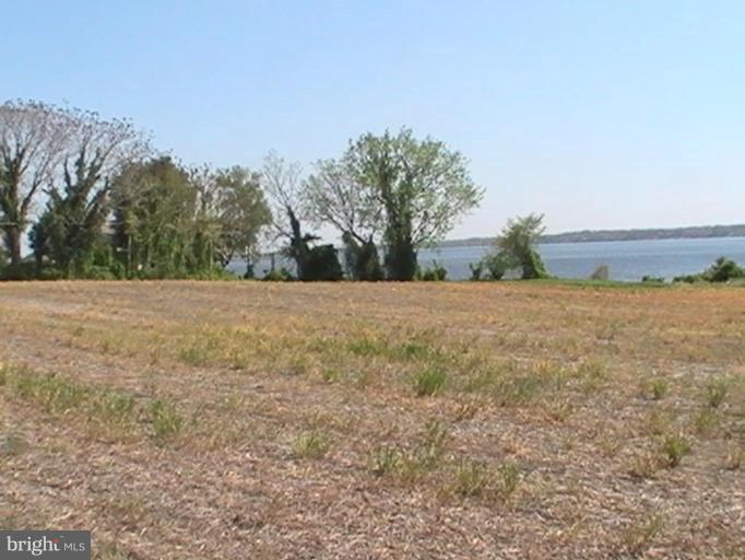 4844 Briscoe Road St. Leonard, MD 20685 - Photo 2 of 7 Unique #2