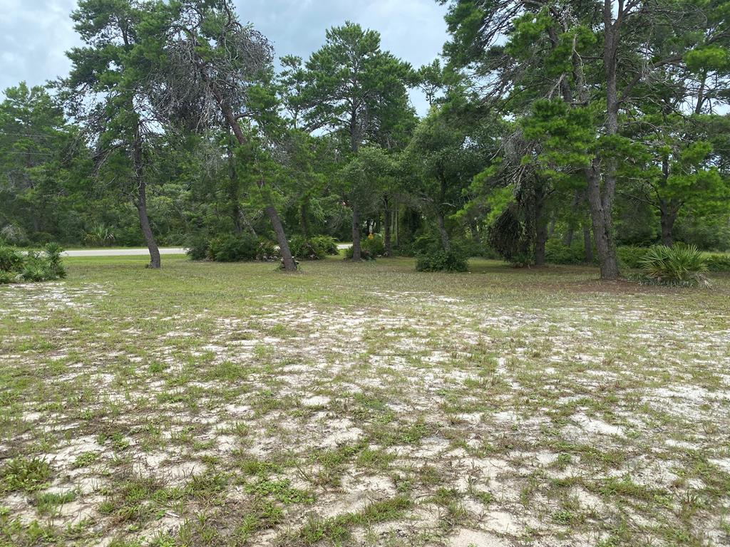 1850 Lighthouse Road Carrabelle, FL 32322 - Photo 60 of 65 Gallery Image 60