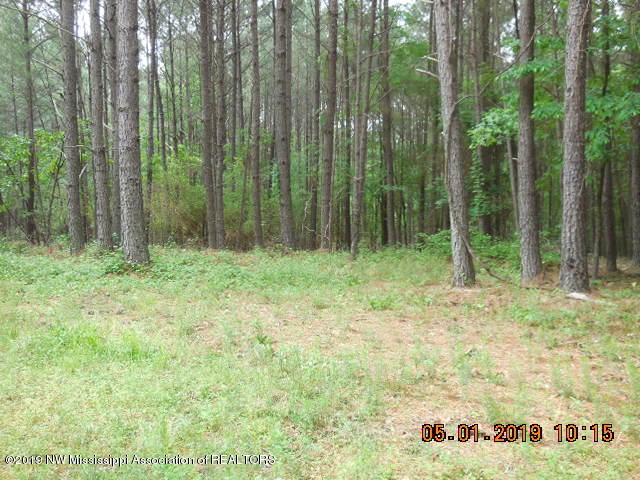 0 Thaytira-tyro Road Senatobia, MS 38668 - Photo 3 of 7 DSCN4111