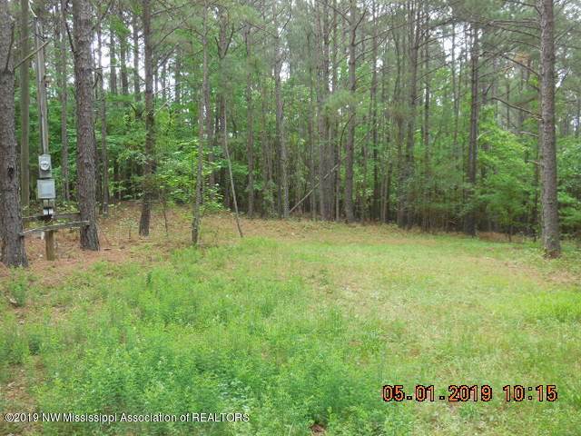 0 Thaytira-tyro Road Senatobia, MS 38668 - Photo 4 of 7 DSCN4113