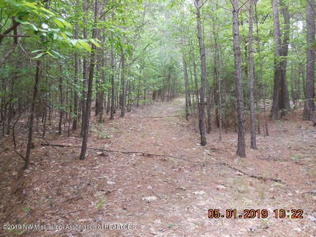 0 Thaytira-tyro Road Senatobia, MS 38668 - Photo 6 of 7 DSCN4118