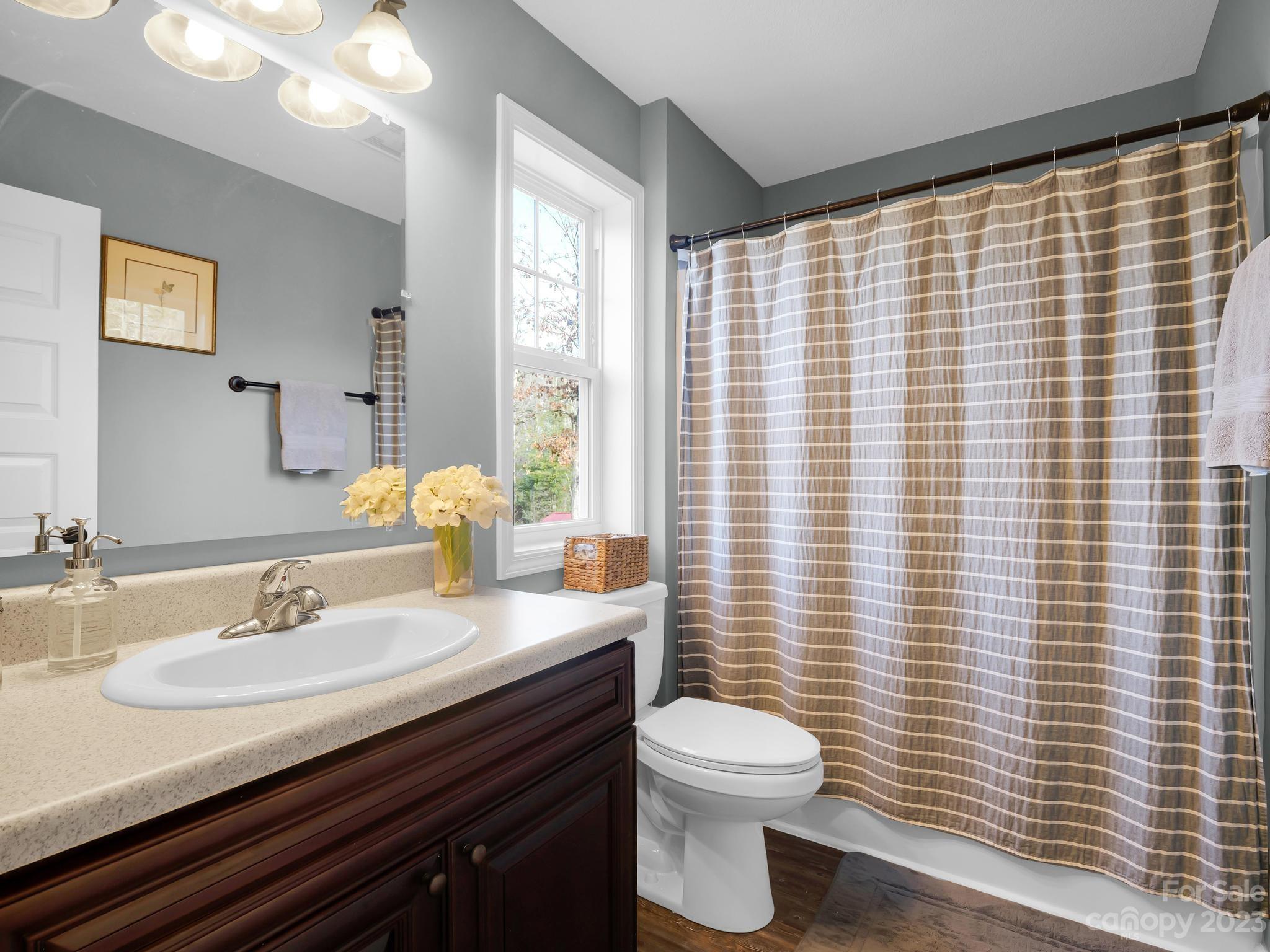 335 Mine Gap Road Flat Rock, NC 28731 - Photo 21 of 40 a bathroom with a sink a toilet and mirror