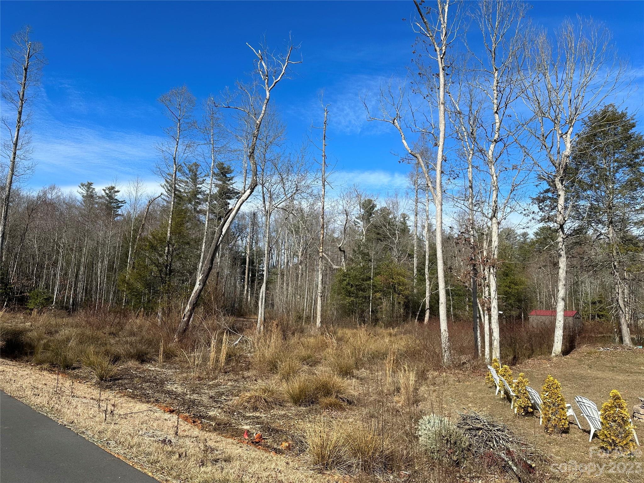 335 Mine Gap Road Flat Rock, NC 28731 - Photo 30 of 40 a view of a park
