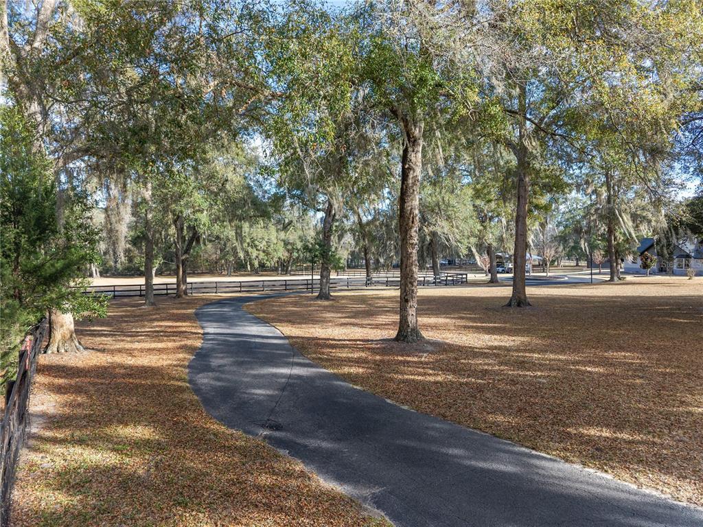 12 Carry Back Road Ocala, FL 34482 - Photo 72 of 88
