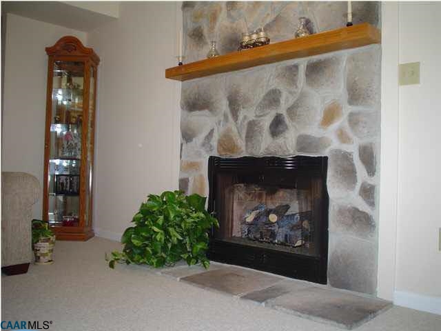 134 Daniels Road Barboursville, VA 22923 - Photo 10 of 23 Cozy up to this gas fireplace, the perfect compliment to your living room.