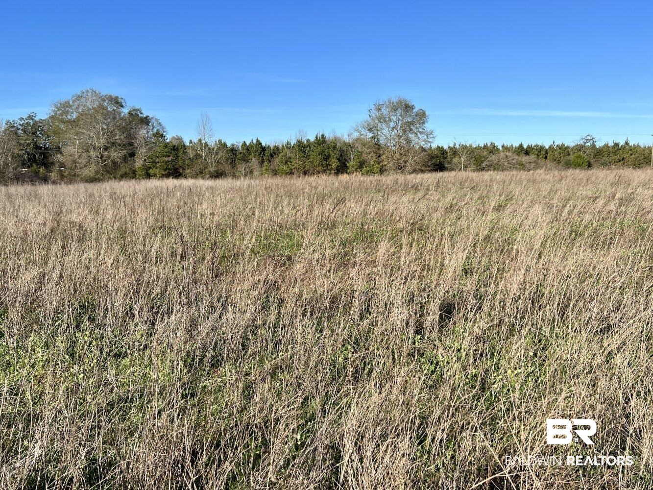 0 Highway 84 Evergreen, AL 36401 - Photo 9 of 50