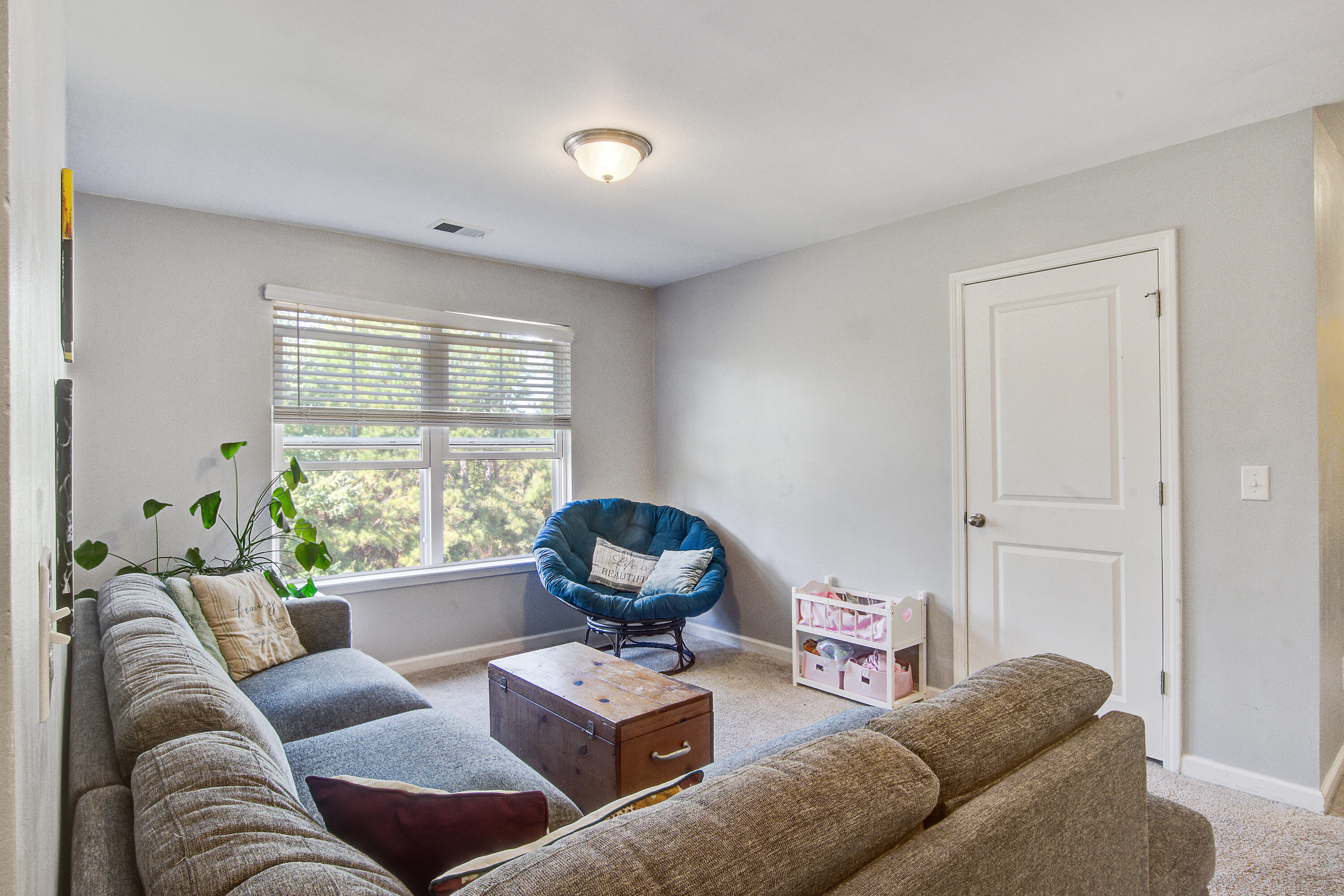 439 Zenith Boulevard Summerville, SC 29486 - Photo 32 of 47 439 (31)