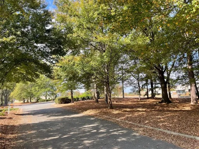 a view of road with trees