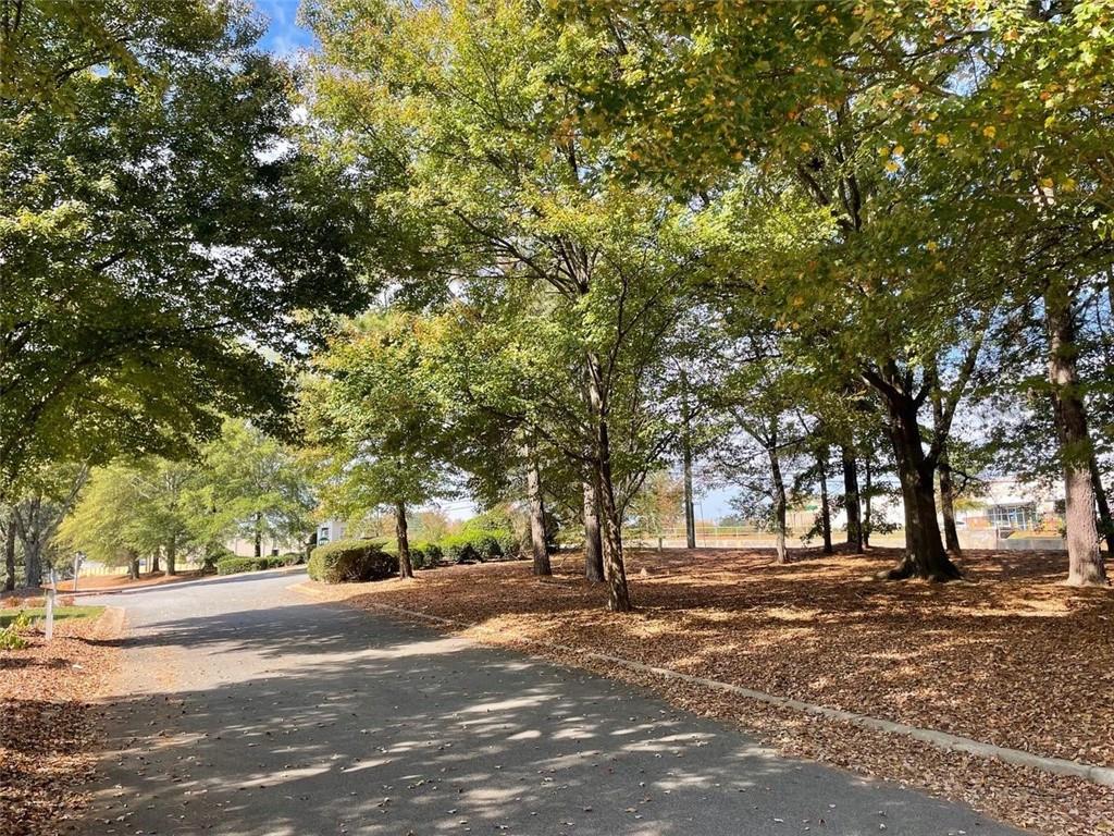 1225 Creek Forest Lane Austell, GA 30106 - Photo 30 of 32 a view of road with trees