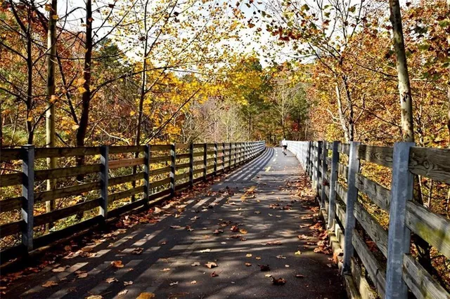 a city view with pathway