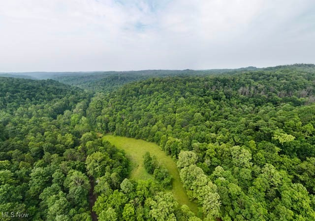 Lot 2 County Road New Matamoras, OH 45767 - Photo 2 of 18 Gallery Image 2