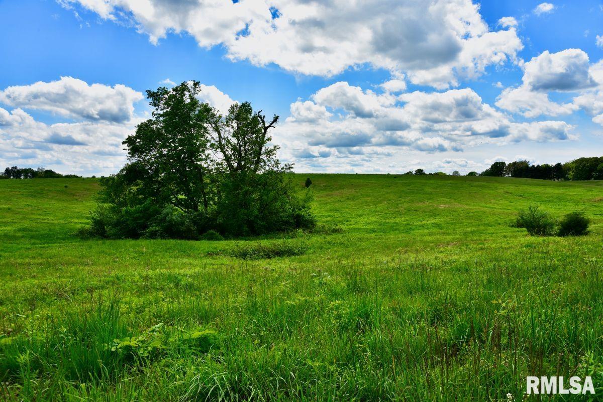 0 Campground Road Anna, IL 62906 - Photo 7 of 29