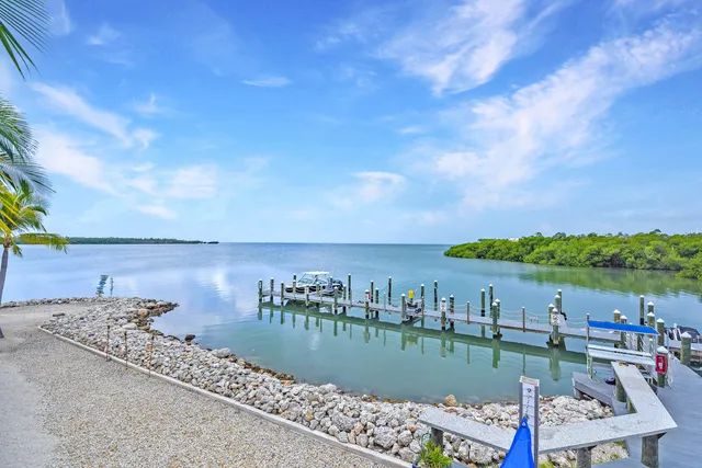 a view of a lake with houses in back