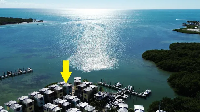 a view of a green yard