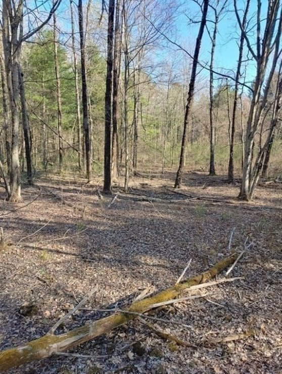 0 Oxbow Road Charlton, MA 01507 - Photo 4 of 4 Gallery Image 4