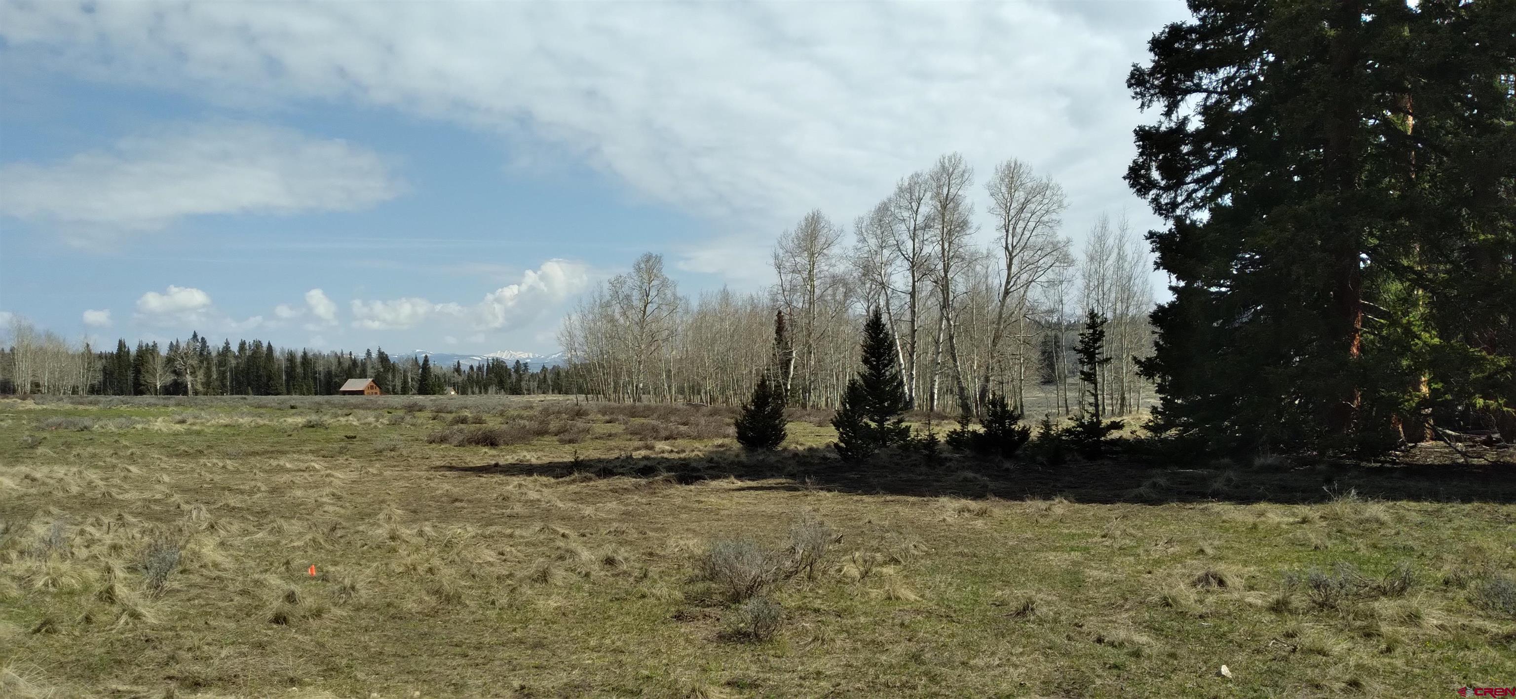 2201 Spruce Road Cimarron, CO 81220 - Photo 8 of 16 Gallery Image 8