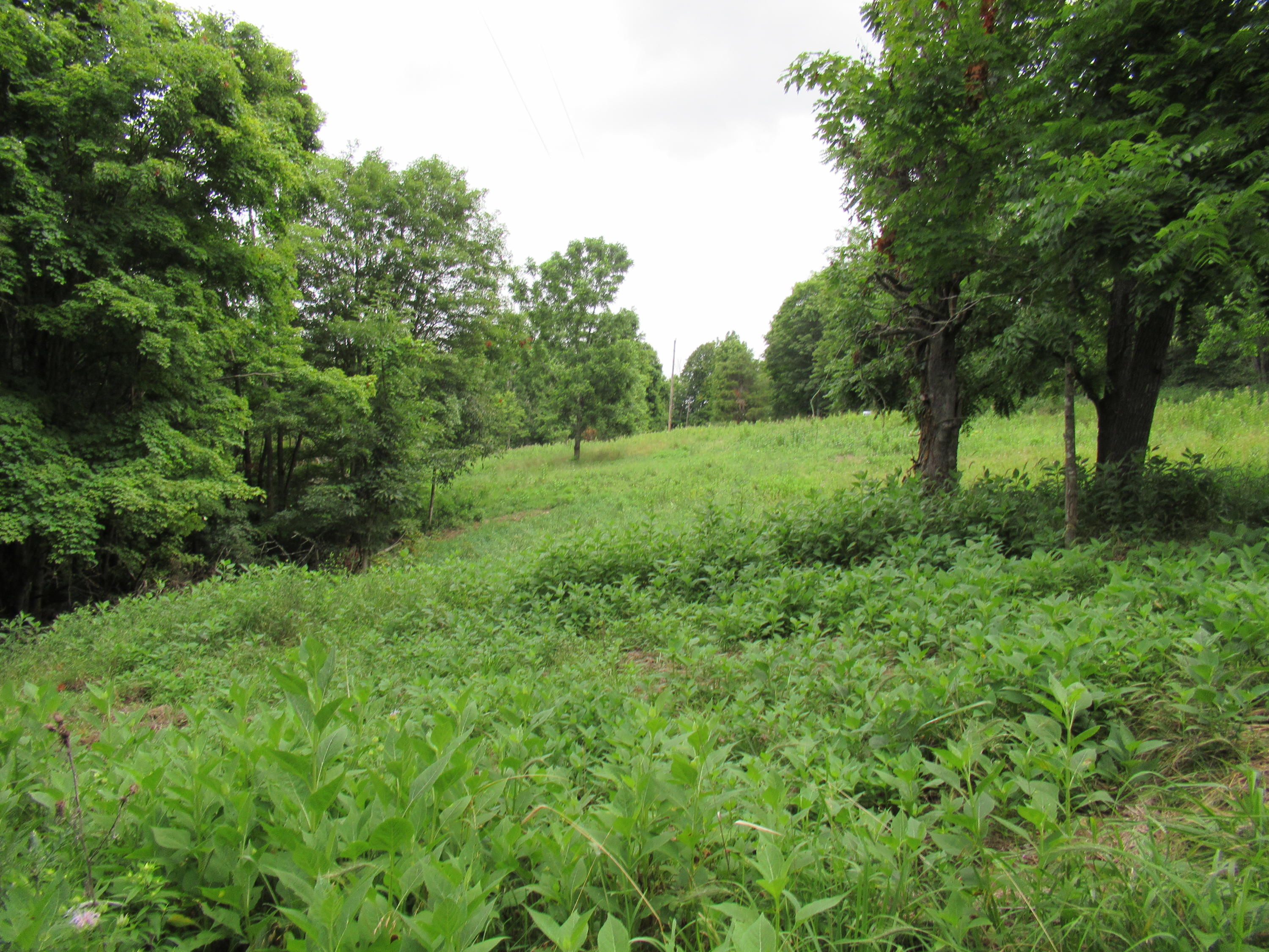 Knobbs Rd Union Union, WV 24983 - Photo 13 of 47 Gallery Image 13