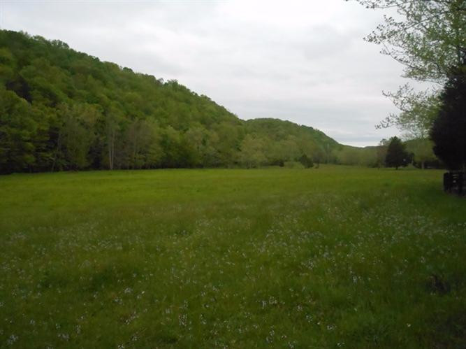 639 Ratliff Road Frenchburg, KY 40322 - Photo 1 of 61 Photo 1
