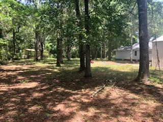 6402 Maxville Road Awendaw, SC 29429 - Photo 47 of 48 IMG_6118