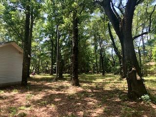 6402 Maxville Road Awendaw, SC 29429 - Photo 48 of 48 IMG_6122