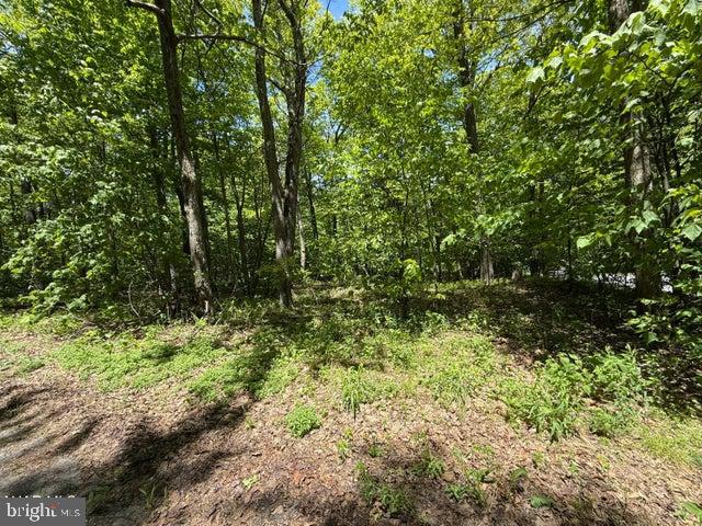 116 Timberman Road Claysburg, PA 16625 - Photo 2 of 4