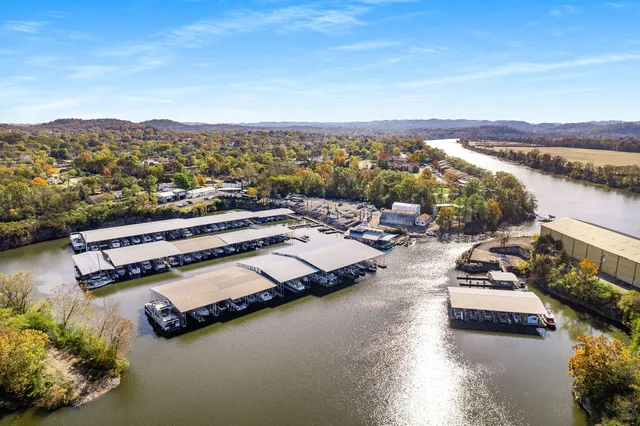 a view of a lake with boats and trees in the background