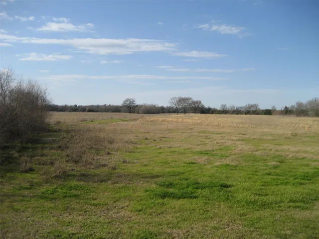 $247,500 | 0 Fm 1280, Lovelady, TX 75851
