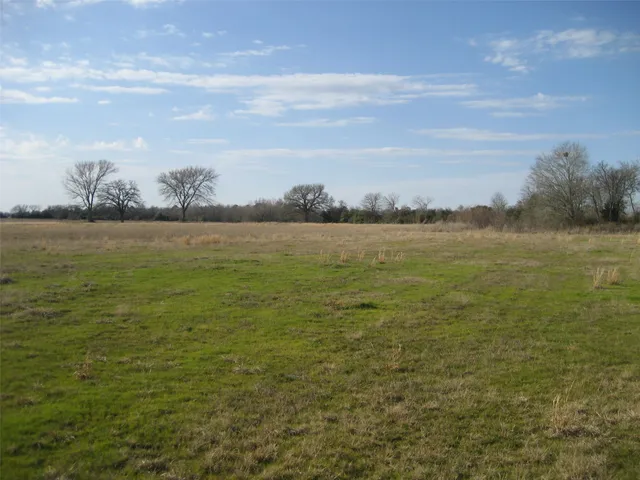 $247,500 | 0 Fm 1280, Lovelady, TX 75851