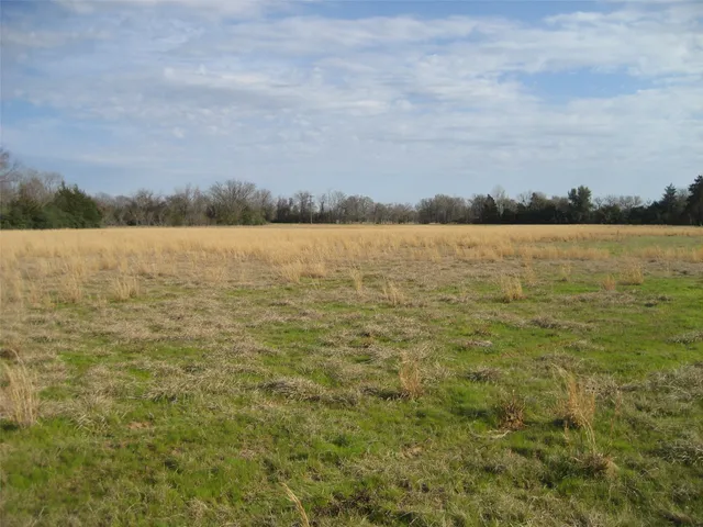 $247,500 | 0 Fm 1280, Lovelady, TX 75851