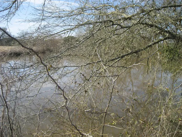 $247,500 | 0 Fm 1280, Lovelady, TX 75851