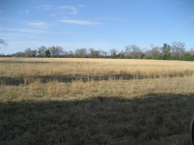 $247,500 | 0 Fm 1280, Lovelady, TX 75851