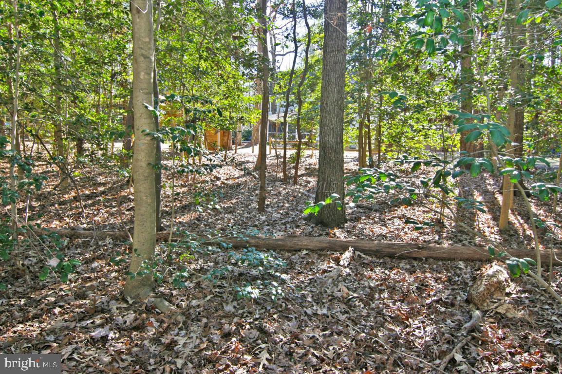3805 Old Post Road Salisbury, MD 21804 - Photo 45 of 58 Gallery Image 45