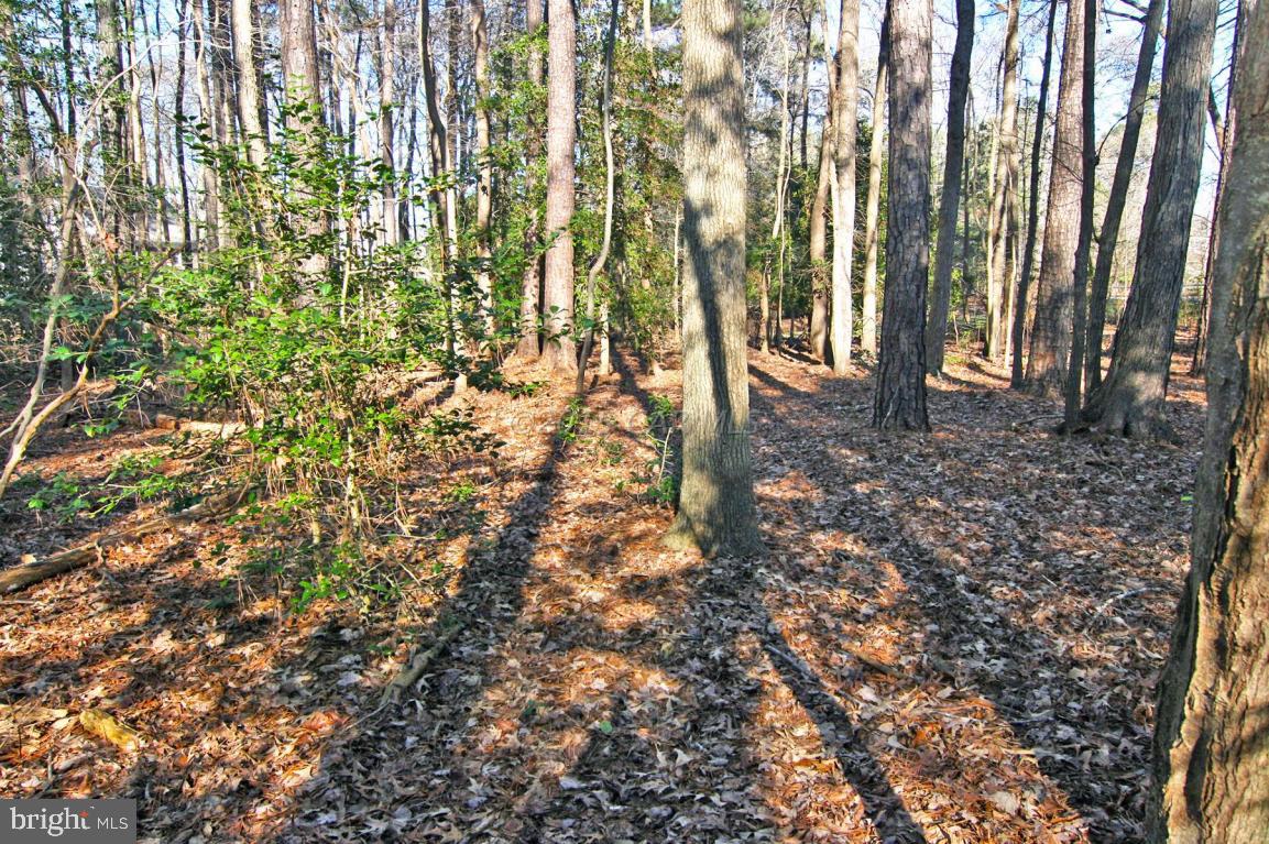 3805 Old Post Road Salisbury, MD 21804 - Photo 46 of 58 Gallery Image 46