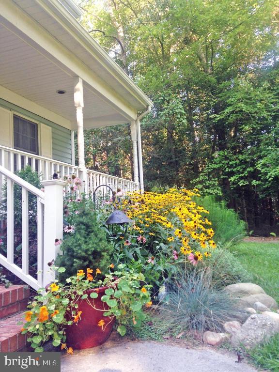 3805 Old Post Road Salisbury, MD 21804 - Photo 55 of 58 Gallery Image 55