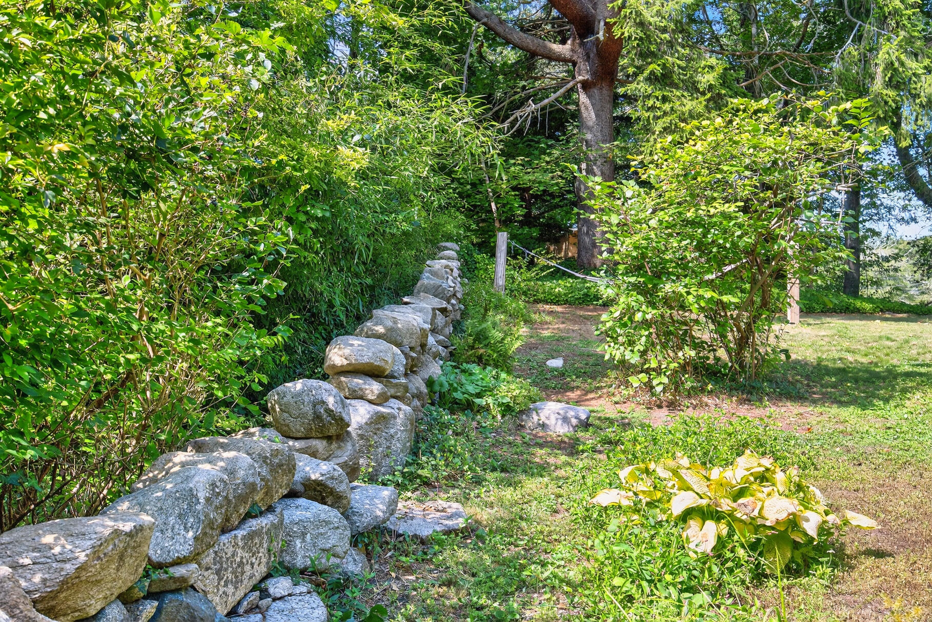 54 Whitman Road Woods Hole, MA 02543 - Photo 60 of 76 a backyard of a house with lots of green space