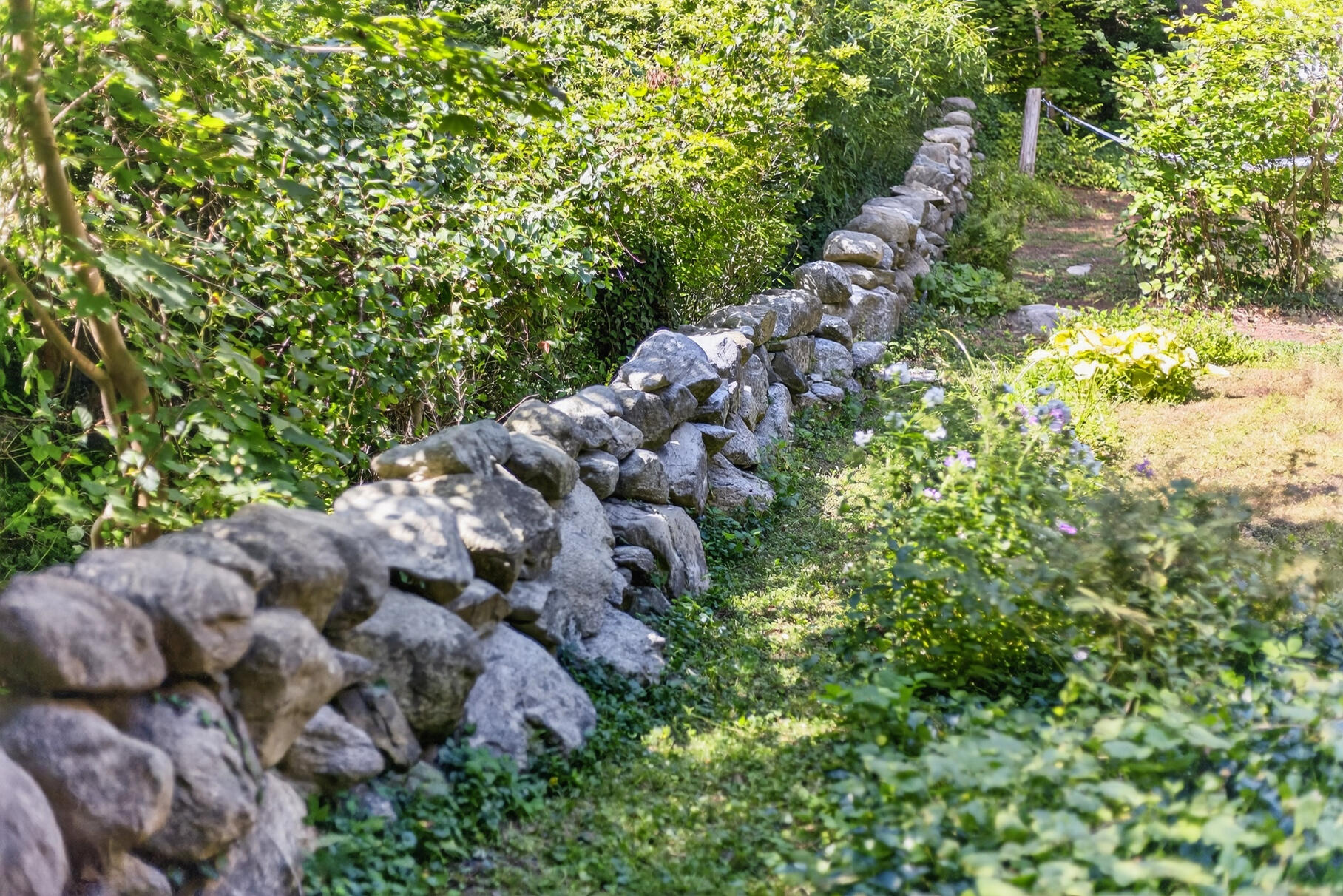 54 Whitman Road Woods Hole, MA 02543 - Photo 66 of 76 065_PF0A6267