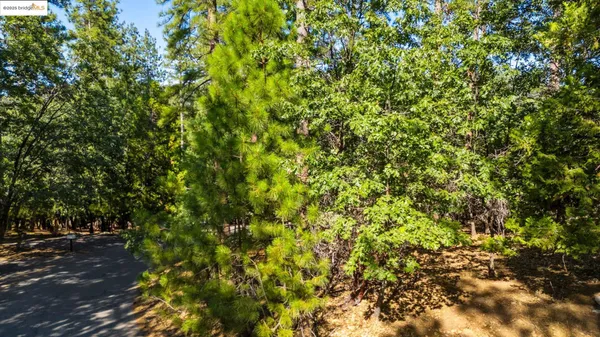 $19,950 | 23983 Pack Trail Road, Sonora, CA 95370
