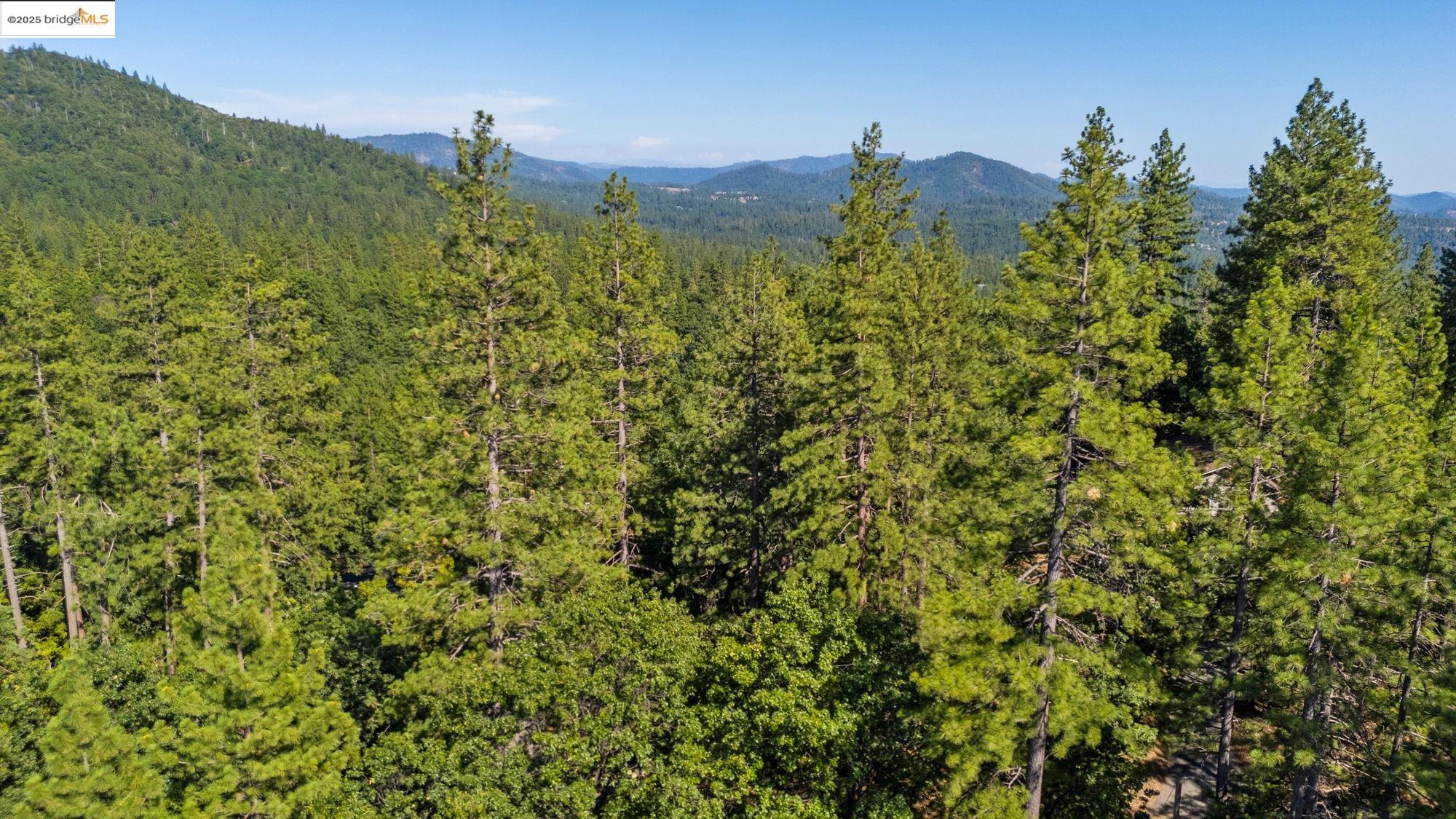 23983 Pack Trail Road Sonora, CA 95370 - Photo 8 of 10