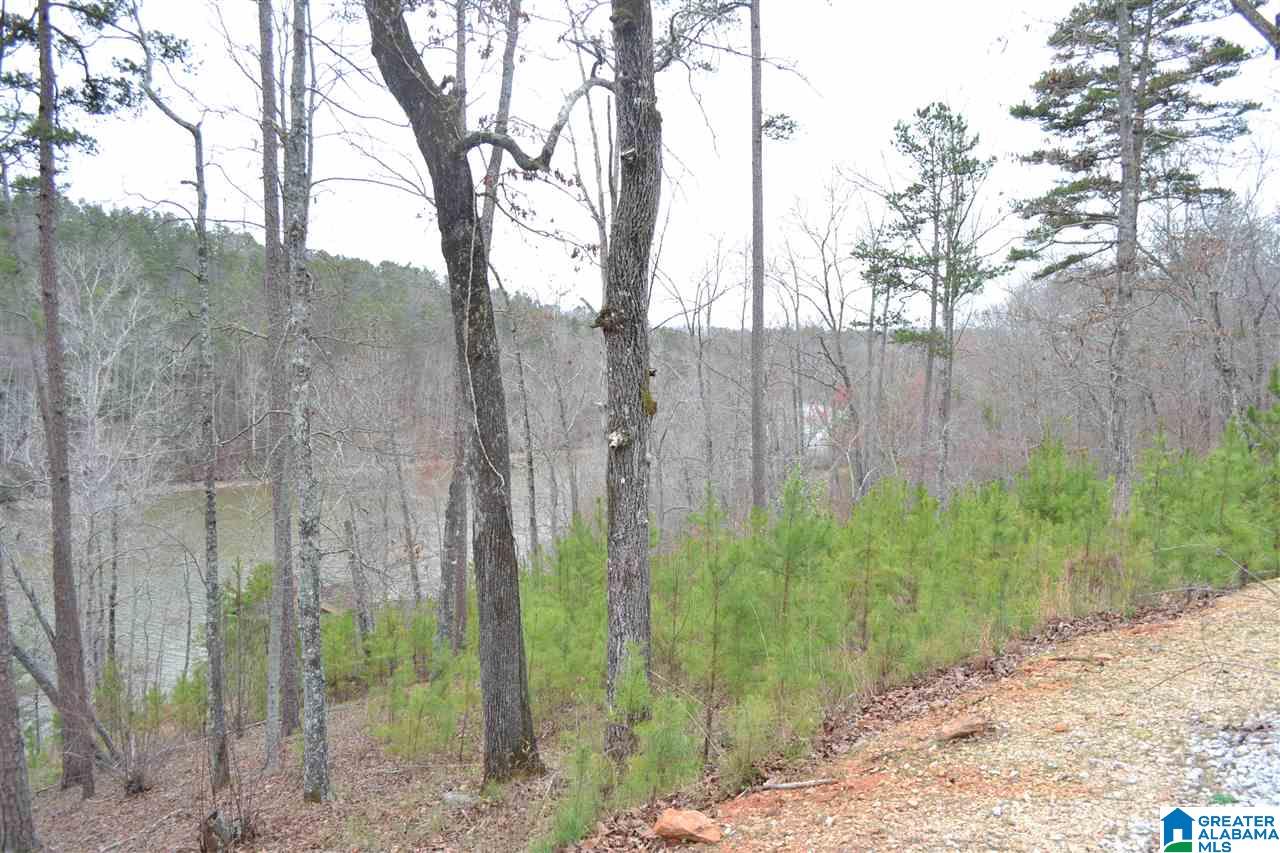 214 County Road, Unit 1 Wedowee, AL 36278 - Photo 12 of 14