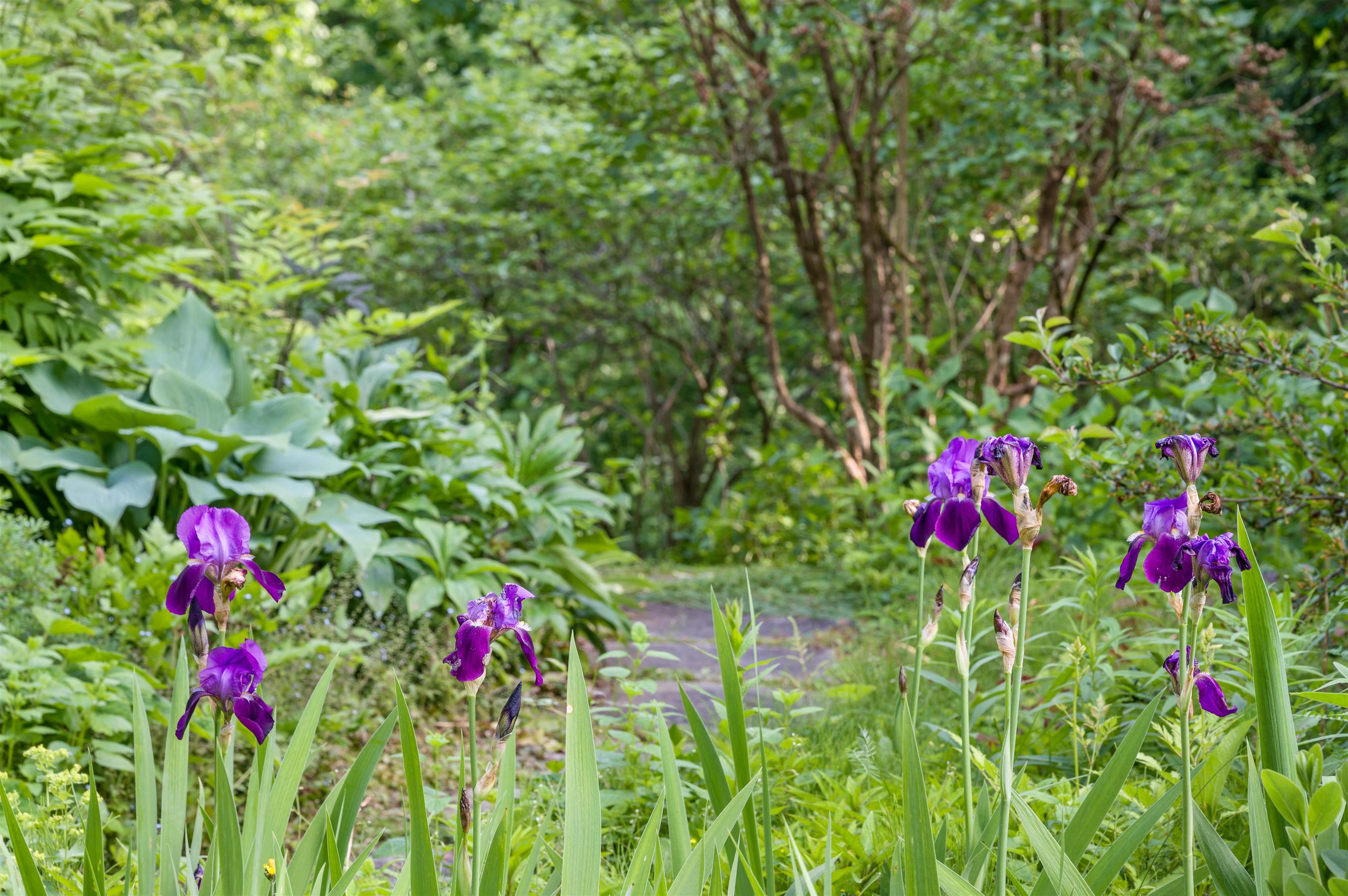 254 Macey Road Middlesex, VT 05682 - Photo 4 of 49