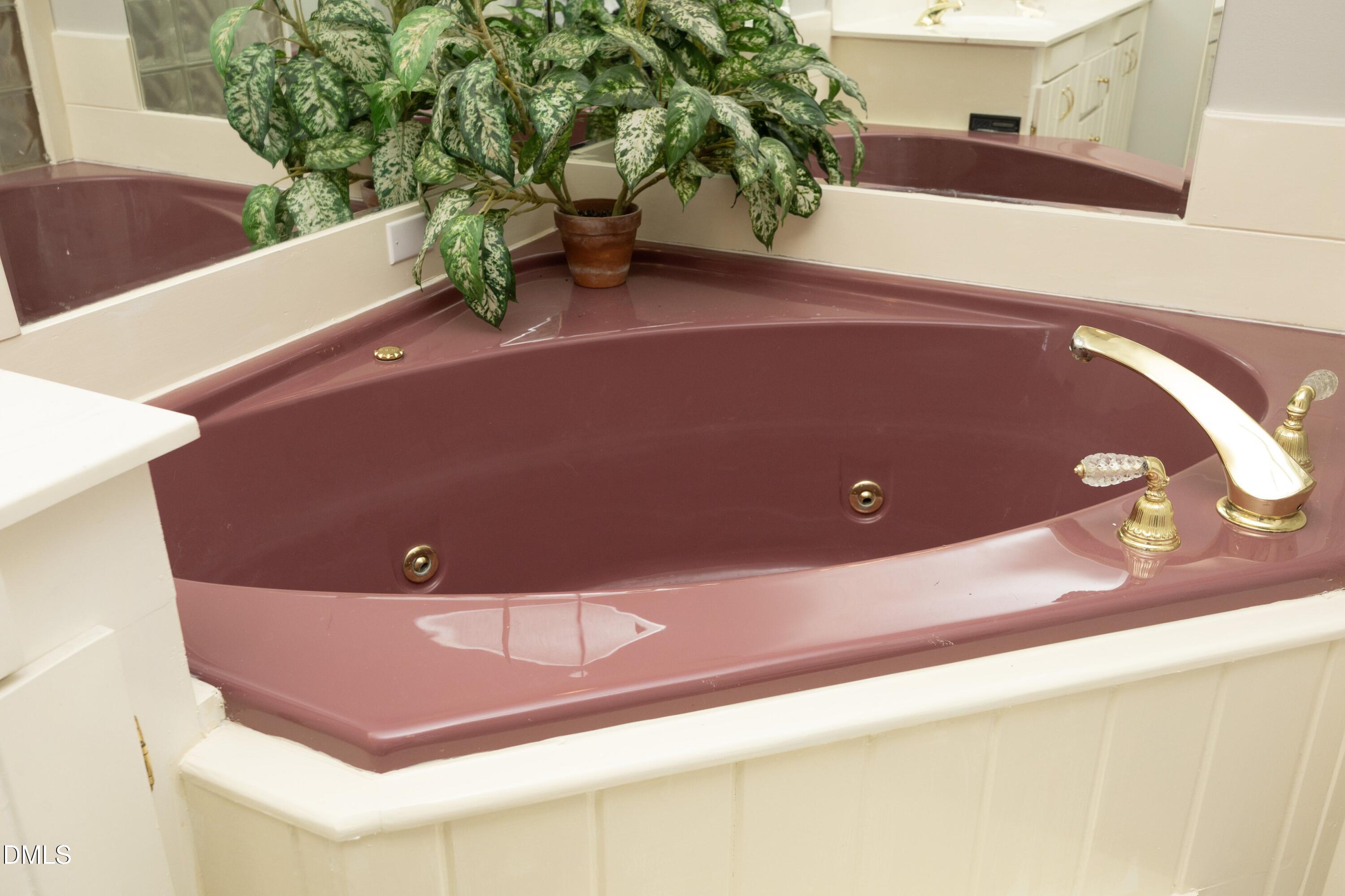 1746 Little Devine Road Selma, NC 27576 - Photo 47 of 79 51BathDetail