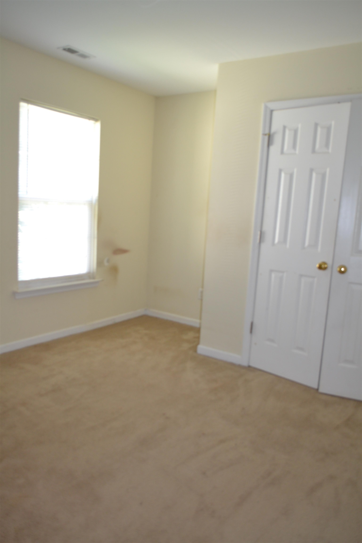 282 Waxberry Court Boiling Springs, SC 29316 - Photo 16 of 28
