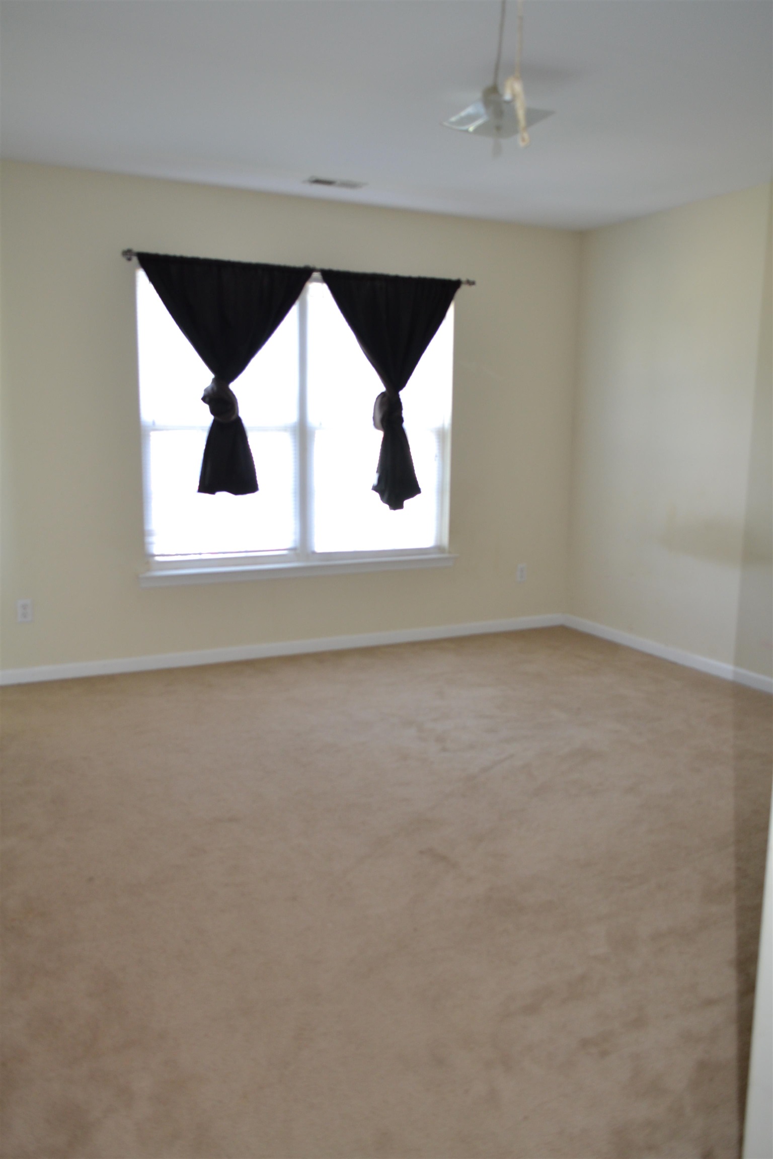 282 Waxberry Court Boiling Springs, SC 29316 - Photo 19 of 28