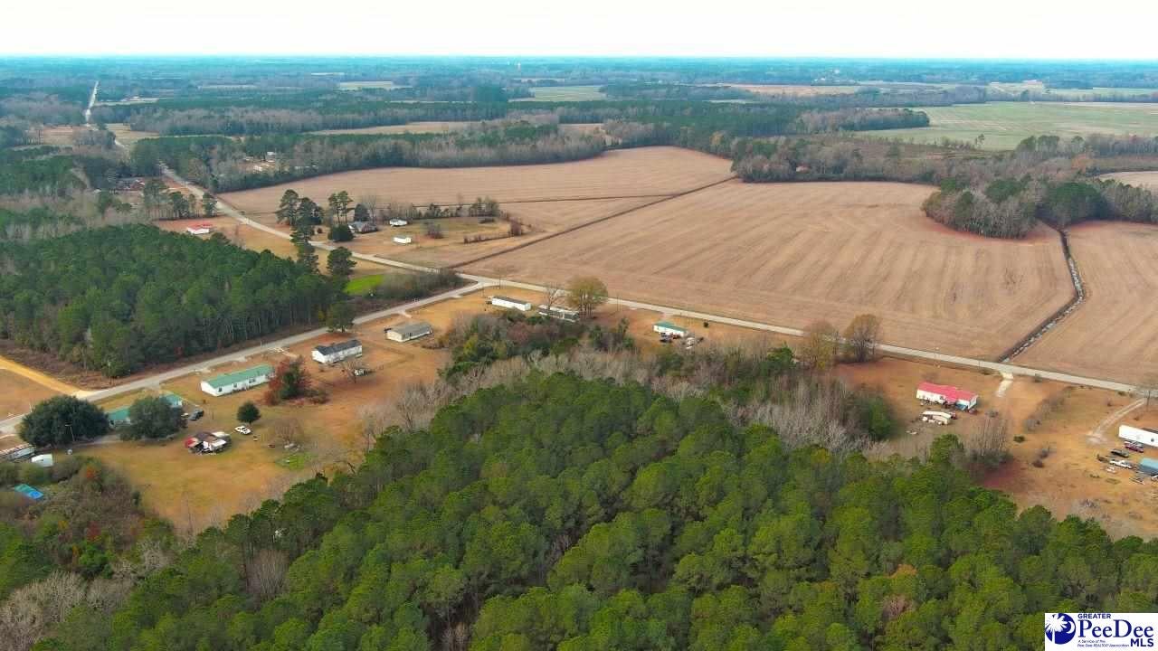 Kentyre Road Hamer, SC 29547 - Photo 19 of 24 Gallery Image 19