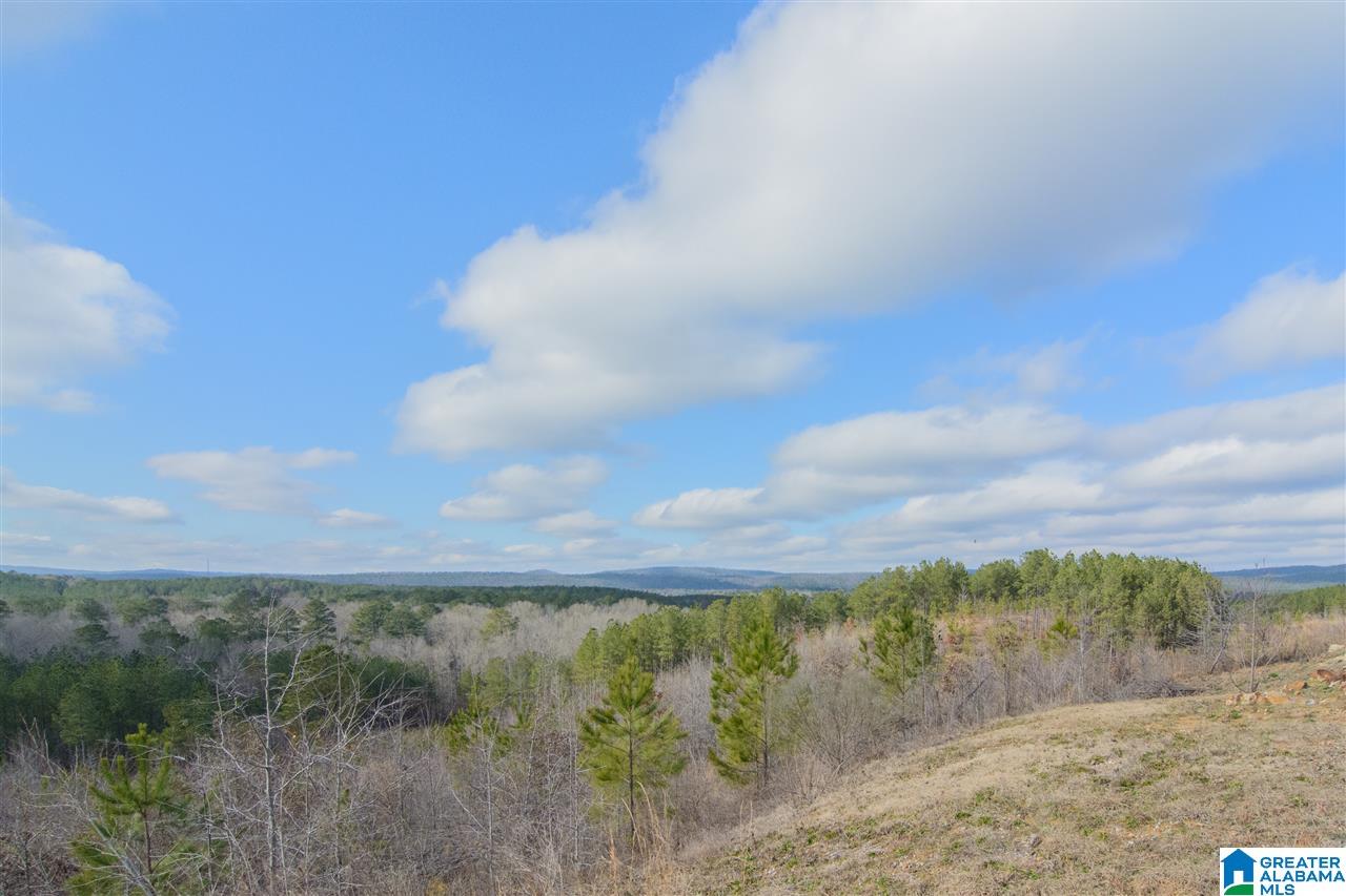 3049 Chelsea Park Ridge Chelsea, AL 35043 - Photo 38 of 42