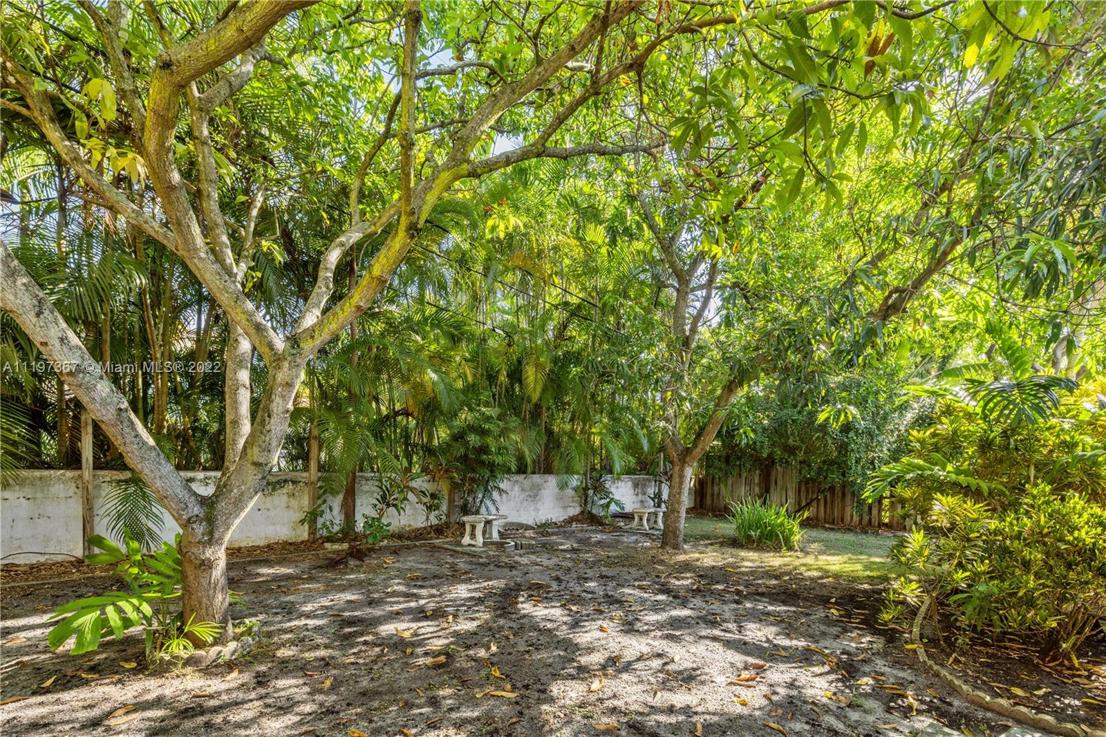531 Northeast 55th Terrace Miami, FL 33137 - Photo 4 of 22 a view of a tree in front of a house